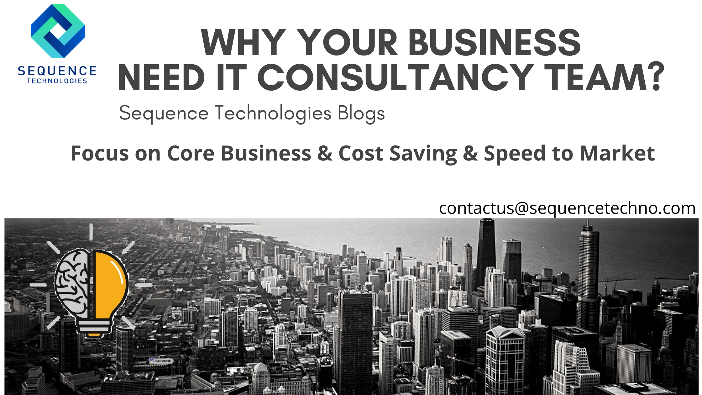 IT Consulting